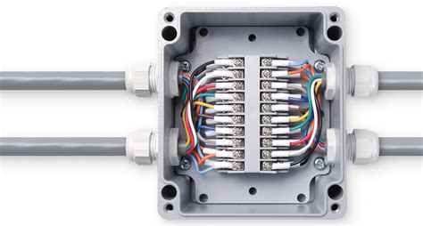 junction box plugs|internal junction box.